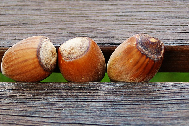 a number of hazelnuts