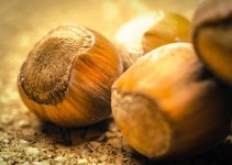 How Many Hazelnuts a Day Should You Eat To Get Significant Health Benefits