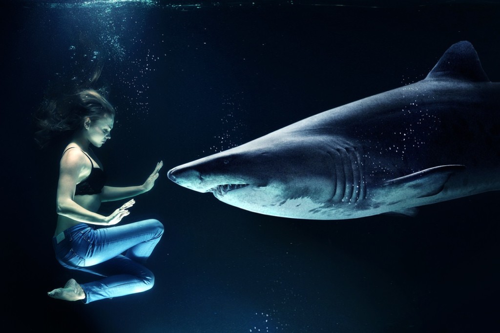 Woman Hai Great White Shark Underwater Sea